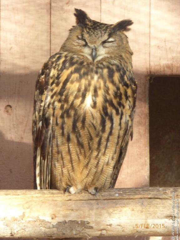 Philosophische Bildwanderung Hemmelsdorfer See - Vogelpark Niendorf - Timmerdorferstrand - Ostsee