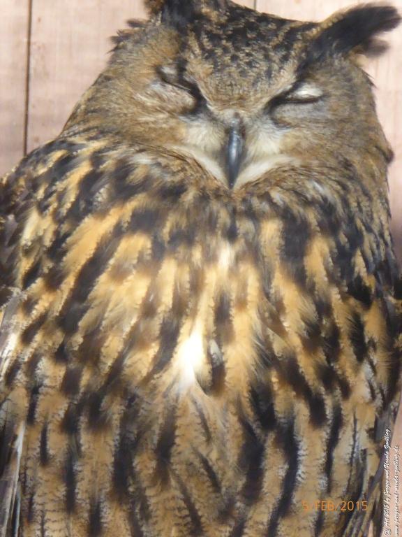 Philosophische Bildwanderung Hemmelsdorfer See - Vogelpark Niendorf - Timmerdorferstrand - Ostsee