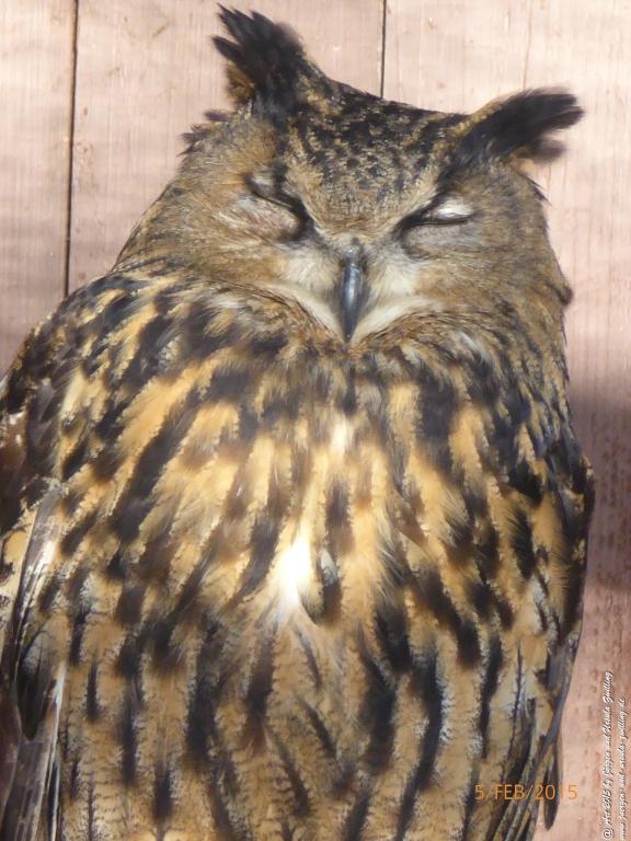 Philosophische Bildwanderung Hemmelsdorfer See - Vogelpark Niendorf - Timmerdorferstrand - Ostsee