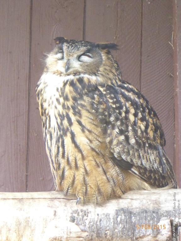Philosophische Bildwanderung Hemmelsdorfer See - Vogelpark Niendorf - Timmerdorferstrand - Ostsee