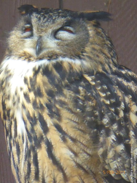 Philosophische Bildwanderung Hemmelsdorfer See - Vogelpark Niendorf - Timmerdorferstrand - Ostsee