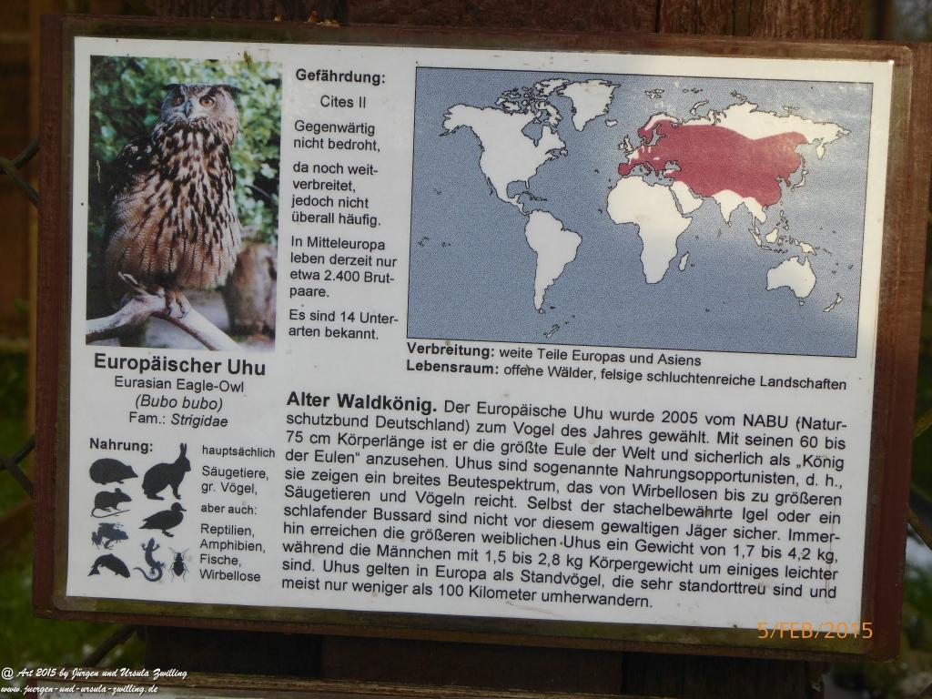 Philosophische Bildwanderung Hemmelsdorfer See - Vogelpark Niendorf - Timmerdorferstrand - Ostsee