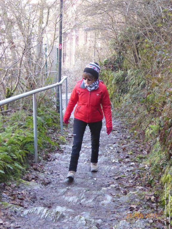 Philosophische Bildwanderung Stahlberg-Schleife - am Rhein