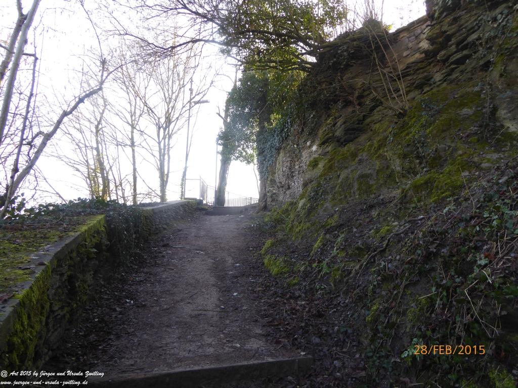 Philosophische Bildwanderung Stahlberg-Schleife - am Rhein