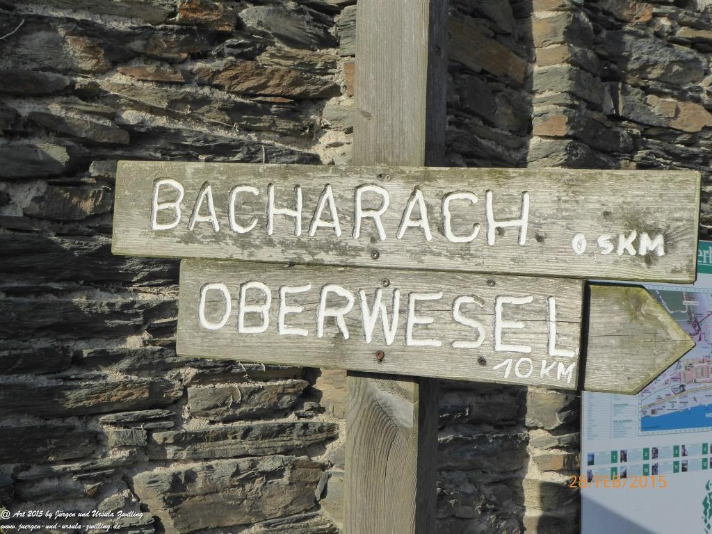 Philosophische Bildwanderung Stahlberg-Schleife - am Rhein