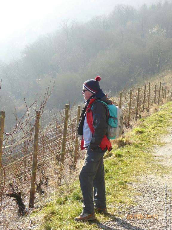 Philosophische Bildwanderung Stahlberg-Schleife - am Rhein