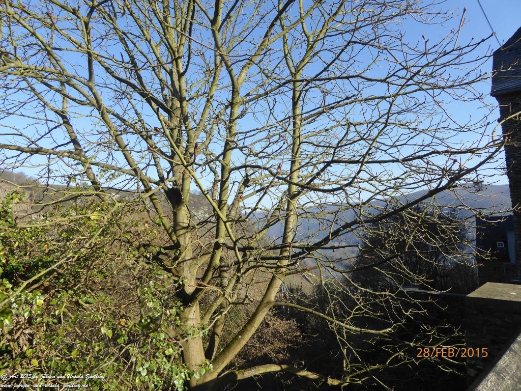 Philosophische Bildwanderung Stahlberg-Schleife - am Rhein