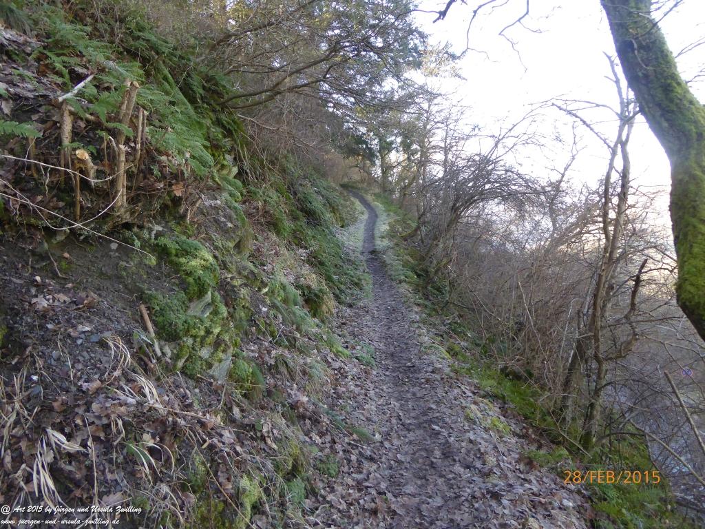 Philosophische Bildwanderung  Stahlberg-Schleife - am Rhein