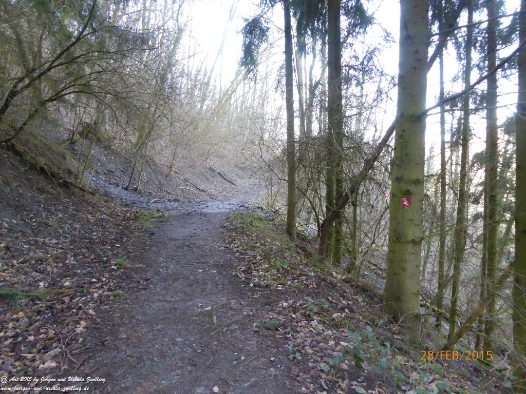 Philosophische Bildwanderung Stahlberg-Schleife - am Rhein