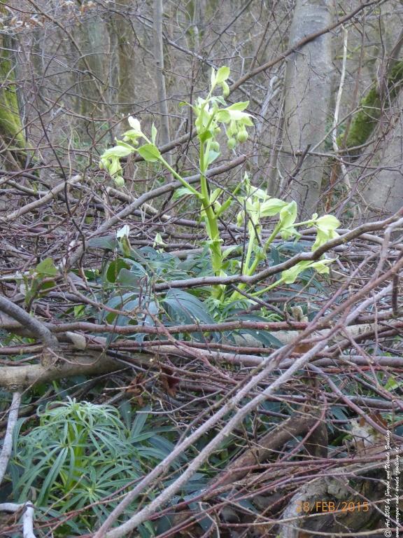 Philosophische Bildwanderung Stahlberg-Schleife - am Rhein