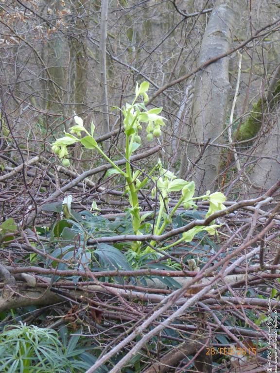 Philosophische Bildwanderung Stahlberg-Schleife - am Rhein