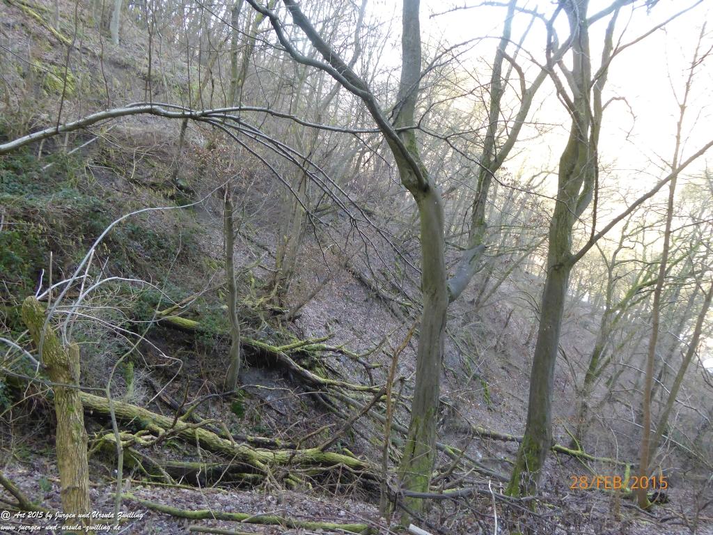 Philosophische Bildwanderung Stahlberg-Schleife - am Rhein