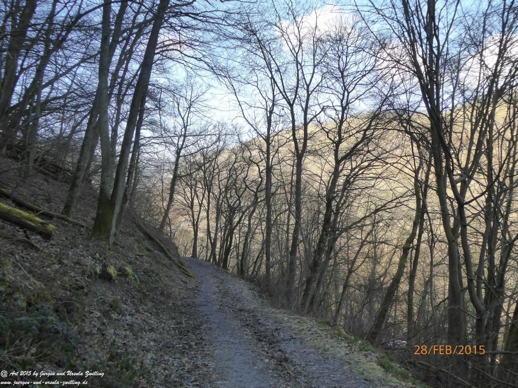 Philosophische Bildwanderung Stahlberg-Schleife - am Rhein