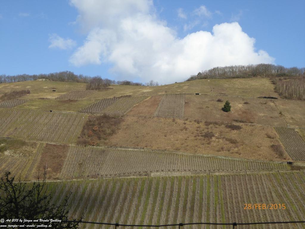 Philosophische Bildwanderung Stahlberg-Schleife - am Rhein