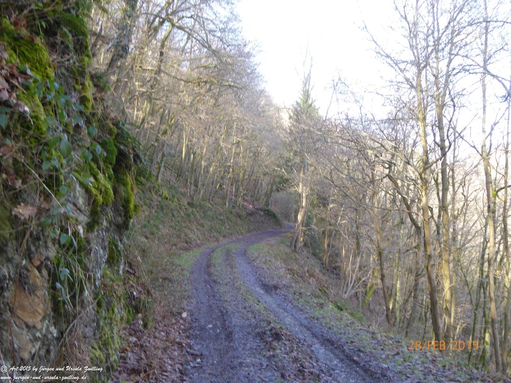 Philosophische Bildwanderung Stahlberg-Schleife - am Rhein