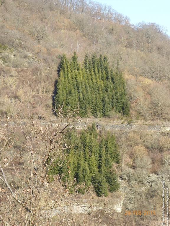 Philosophische Bildwanderung Stahlberg-Schleife - am Rhein