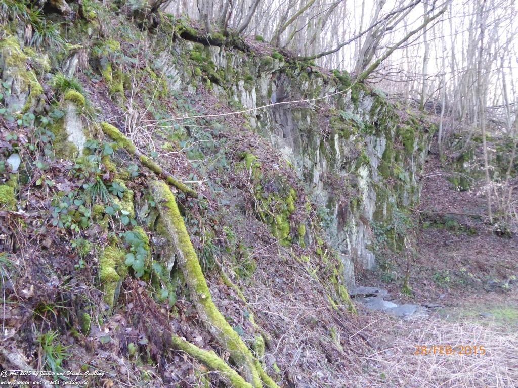 Philosophische Bildwanderung Stahlberg-Schleife - am Rhein