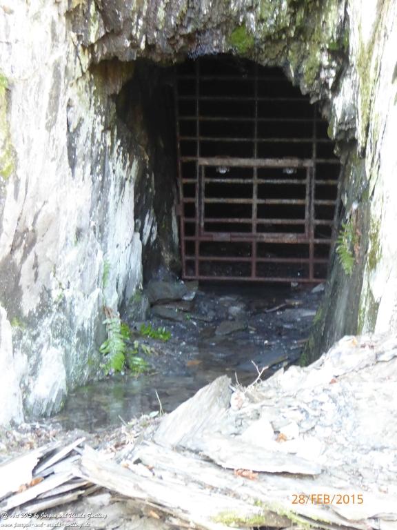 Philosophische Bildwanderung Stahlberg-Schleife - am Rhein