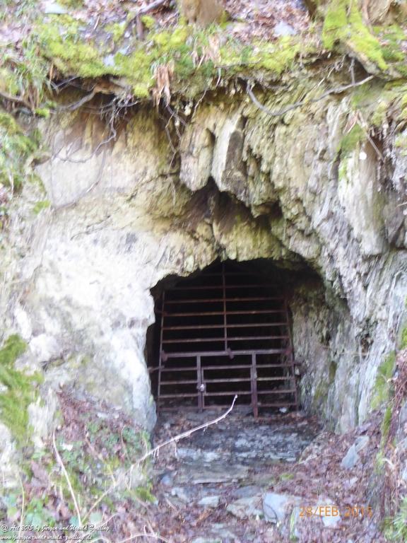 Philosophische Bildwanderung Stahlberg-Schleife - am Rhein