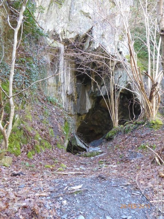 Philosophische Bildwanderung Stahlberg-Schleife - am Rhein