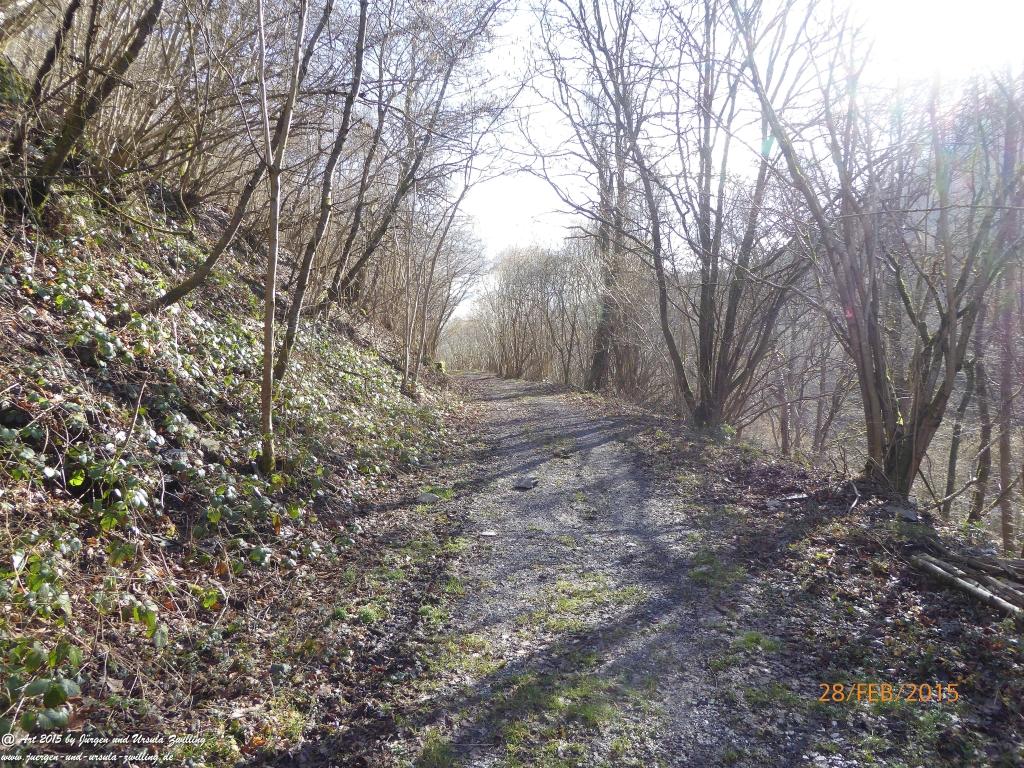 Philosophische Bildwanderung Stahlberg-Schleife - am Rhein