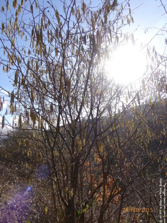 Philosophische Bildwanderung Stahlberg-Schleife - am Rhein