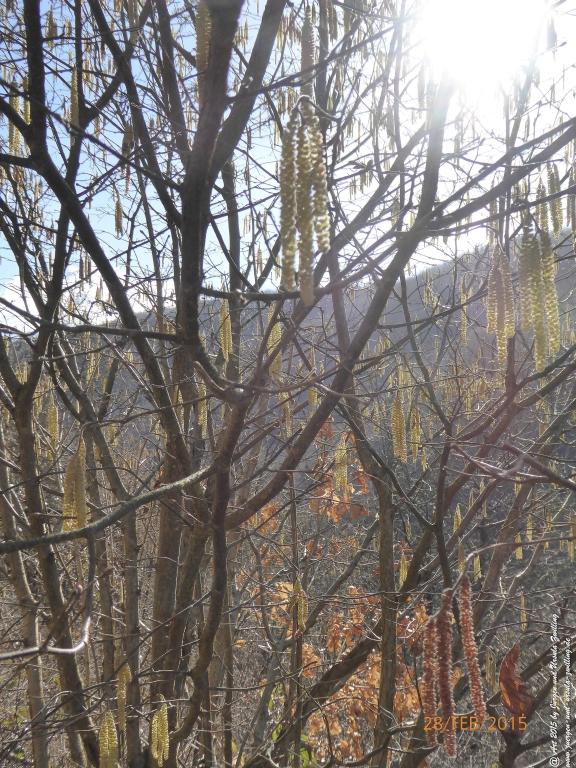 Philosophische Bildwanderung Stahlberg-Schleife - am Rhein