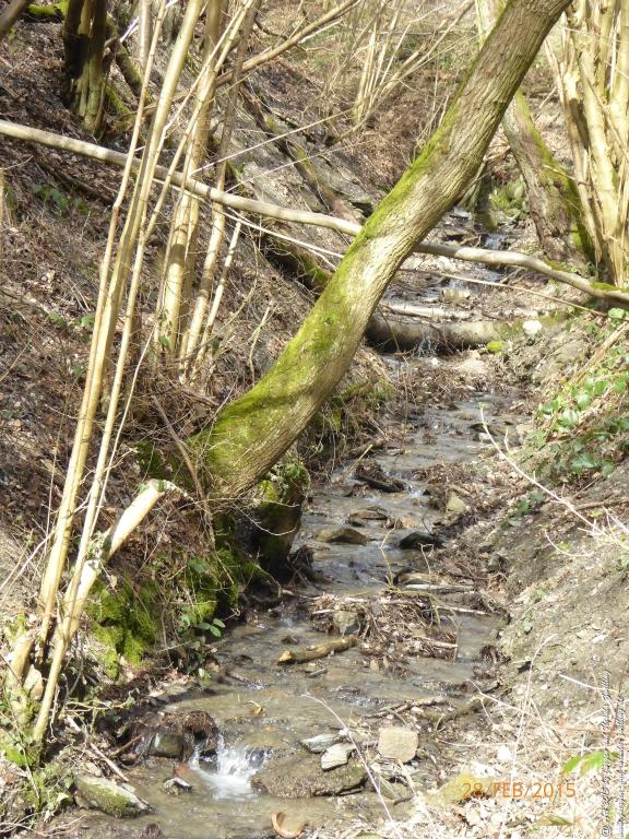 Philosophische Bildwanderung Stahlberg-Schleife - am Rhein