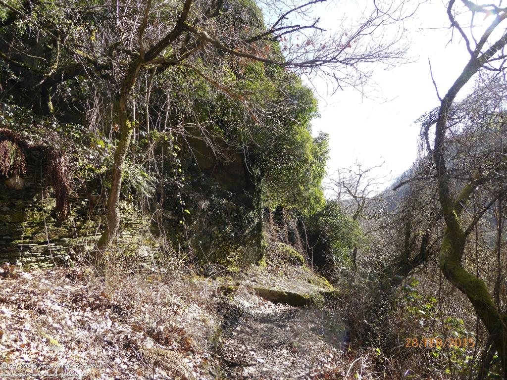 Philosophische Bildwanderung Stahlberg-Schleife - am Rhein