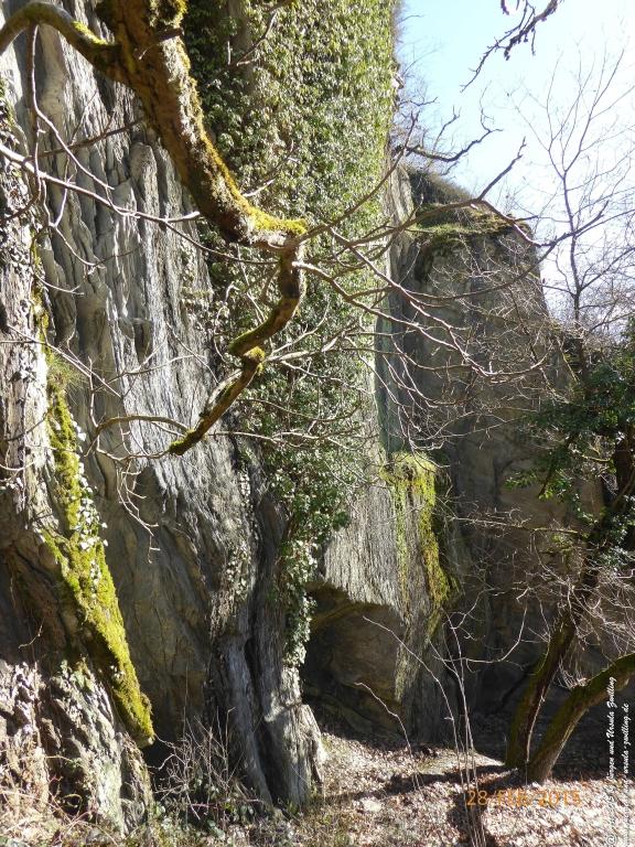 Philosophische Bildwanderung Stahlberg-Schleife - am Rhein