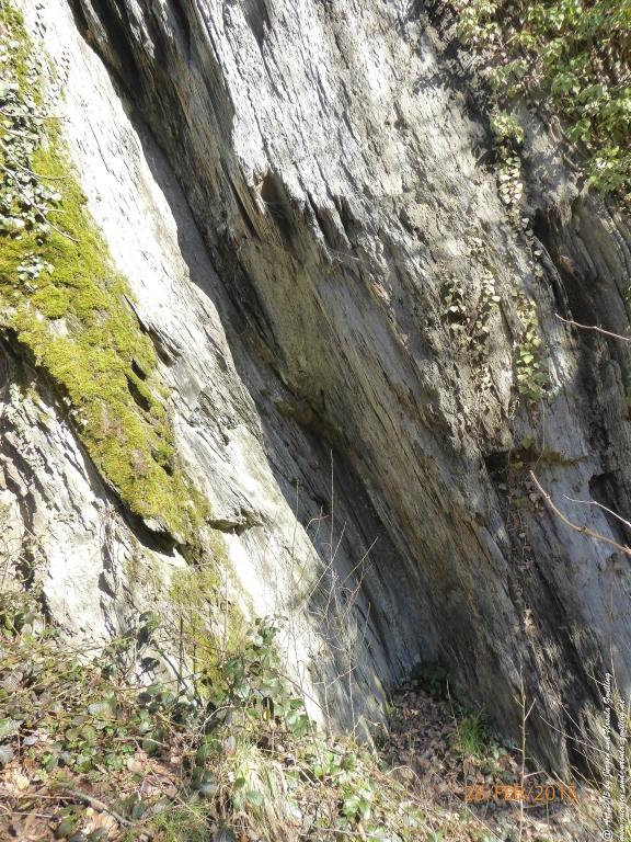 Philosophische Bildwanderung Stahlberg-Schleife - am Rhein