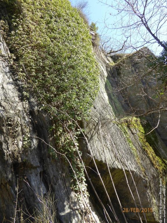Philosophische Bildwanderung Stahlberg-Schleife - am Rhein
