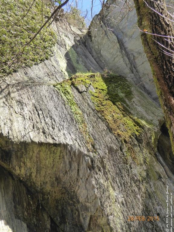 Philosophische Bildwanderung Stahlberg-Schleife - am Rhein