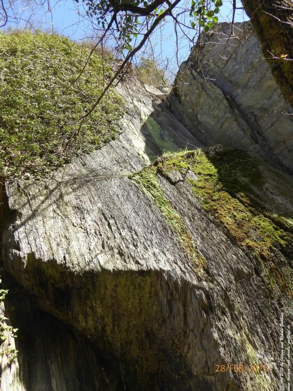 Philosophische Bildwanderung Stahlberg-Schleife - am Rhein