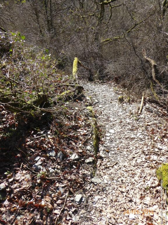 Philosophische Bildwanderung Stahlberg-Schleife - am Rhein