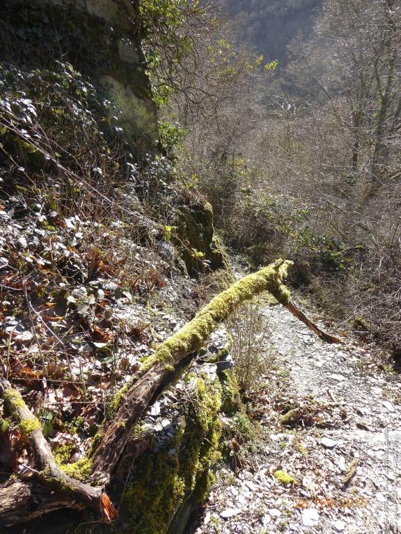 Philosophische Bildwanderung Stahlberg-Schleife - am Rhein