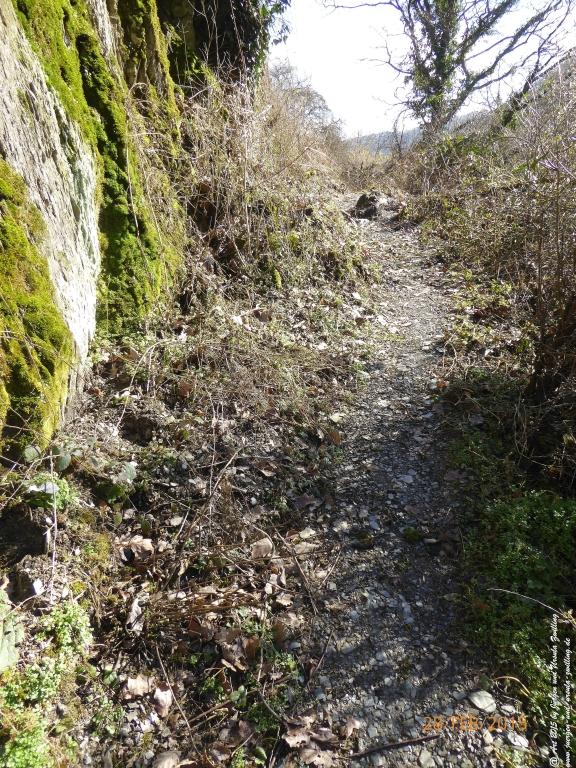 Philosophische Bildwanderung Stahlberg-Schleife - am Rhein