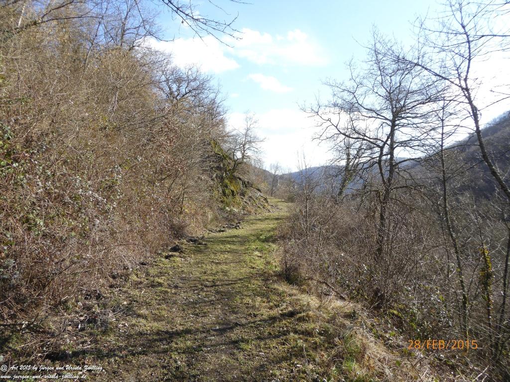Philosophische Bildwanderung Stahlberg-Schleife - am Rhein