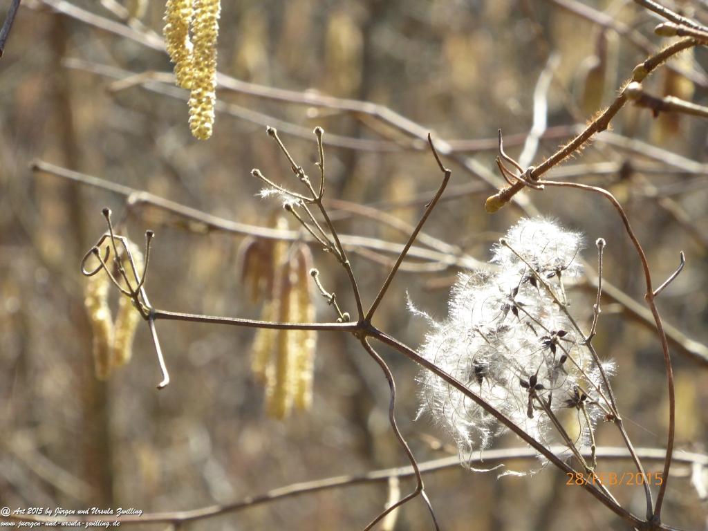 Philosophische Bildwanderung Stahlberg-Schleife - am Rhein