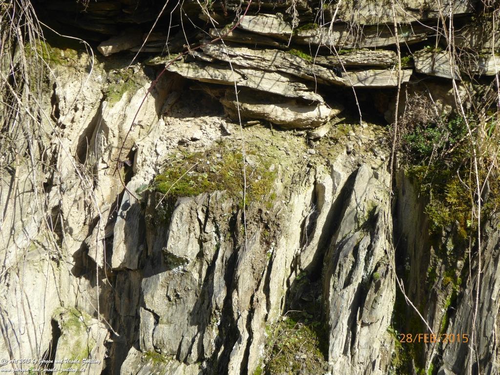 Philosophische Bildwanderung Stahlberg-Schleife - am Rhein