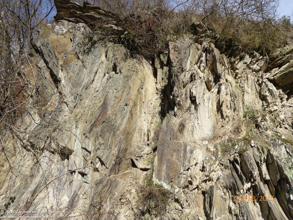 Philosophische Bildwanderung Stahlberg-Schleife - am Rhein