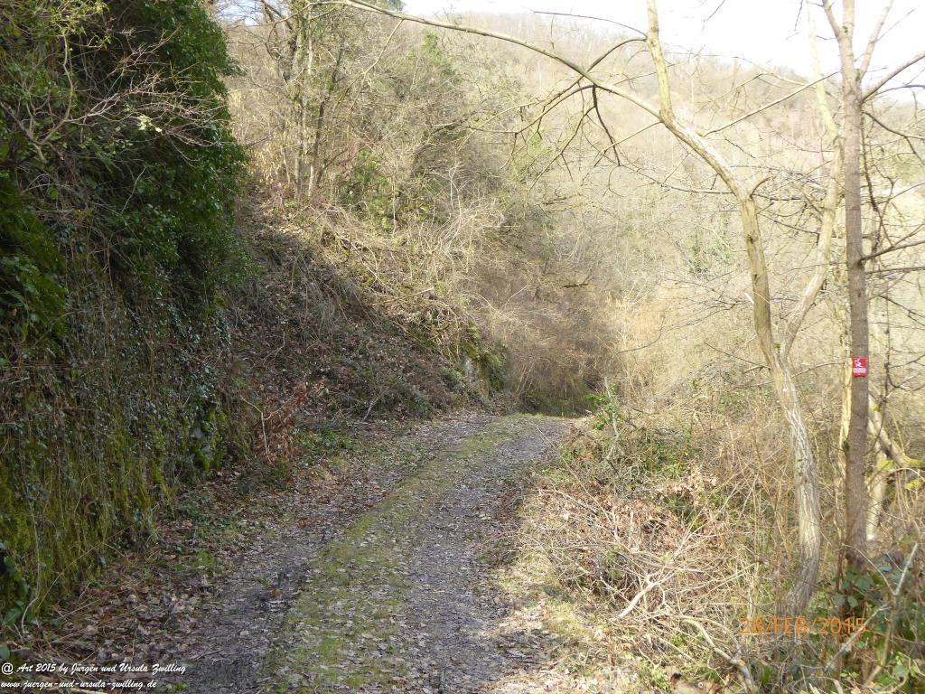 Philosophische Bildwanderung Stahlberg-Schleife - am Rhein