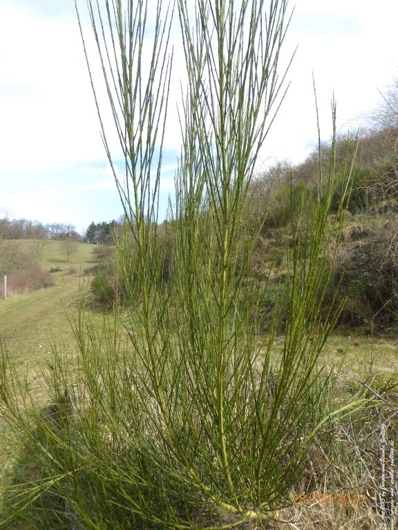 Philosophische Bildwanderung Stahlberg-Schleife - am Rhein