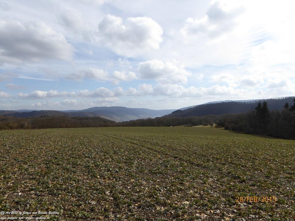 Philosophische Bildwanderung Stahlberg-Schleife - am Rhein