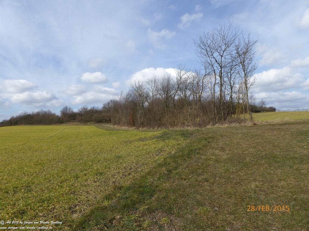 Philosophische Bildwanderung Stahlberg-Schleife - am Rhein