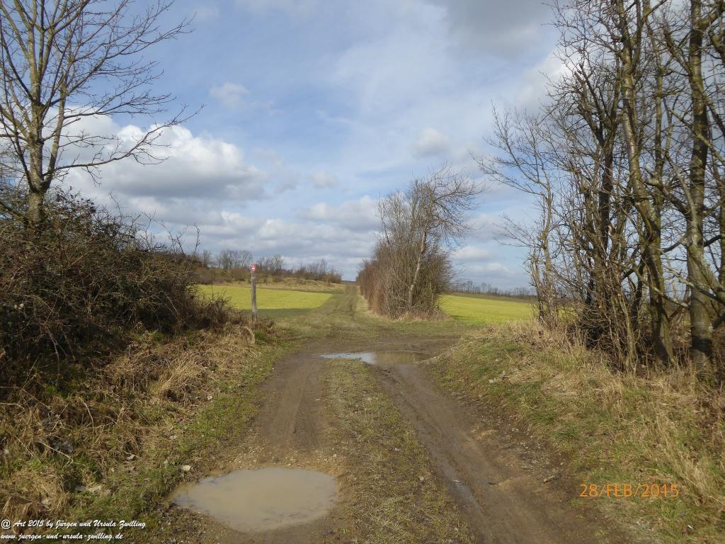 Philosophische Bildwanderung Stahlberg-Schleife - am Rhein