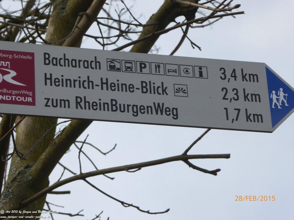 Philosophische Bildwanderung Stahlberg-Schleife - am Rhein