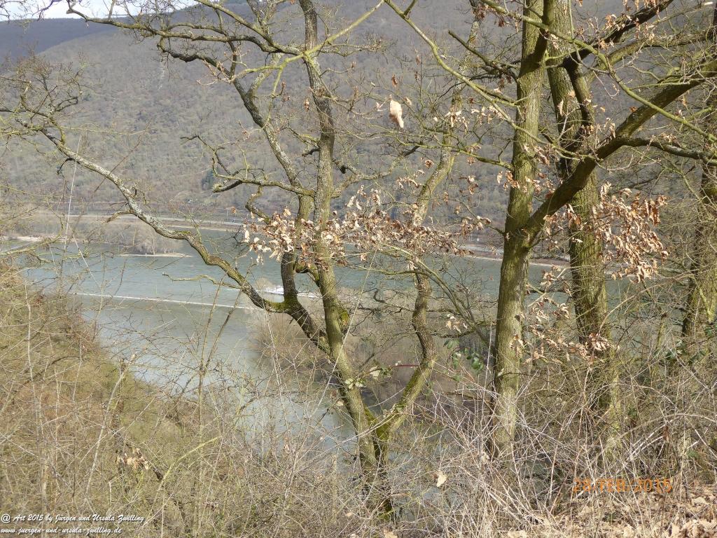 Philosophische Bildwanderung  Stahlberg-Schleife - am Rhein