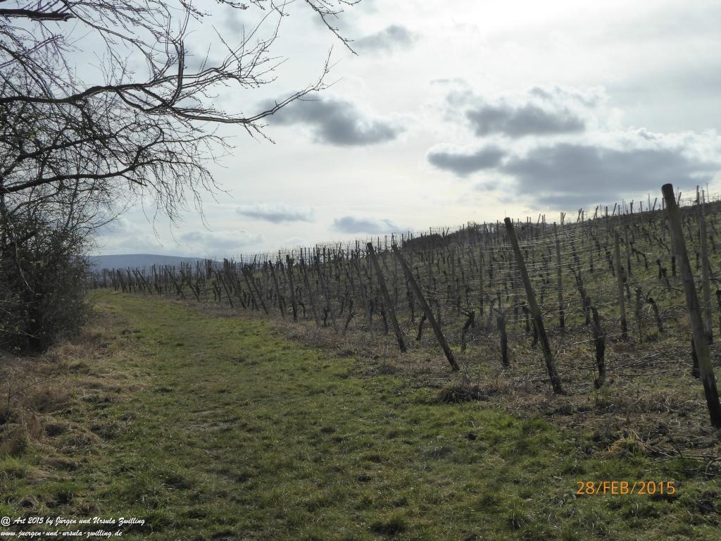 Philosophische Bildwanderung Stahlberg-Schleife - am Rhein