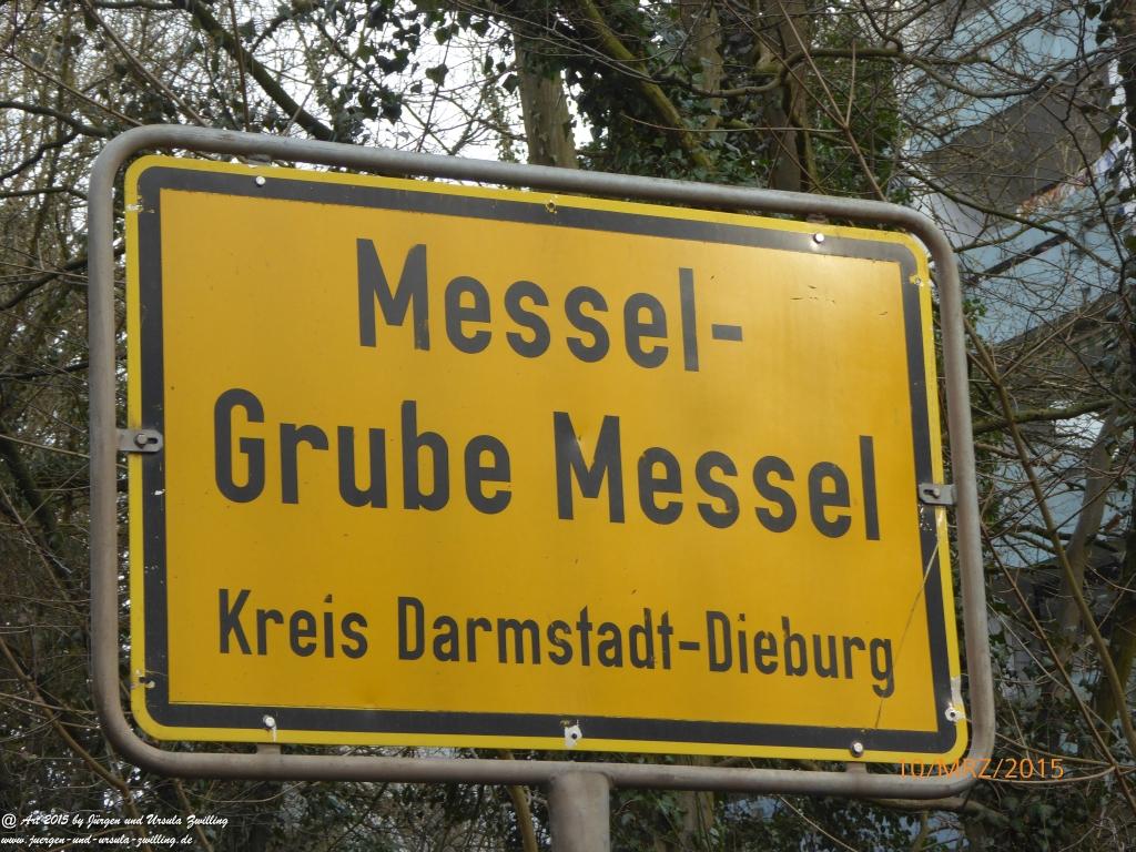 Philosophische BildwanderungÖlschieferweg – Waldwanderung im Süden der Grube Messel - Odenwald